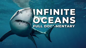 INFINITE OCEANS | A Journey Through the World's Oceans - Full Documentary