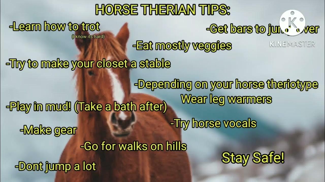 🐎🌿 Tips For Horse Therians! 🌿🐎 || Read Desc ||🐾 - YouTube