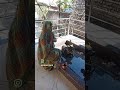 har har Mahadev 🙏🙏