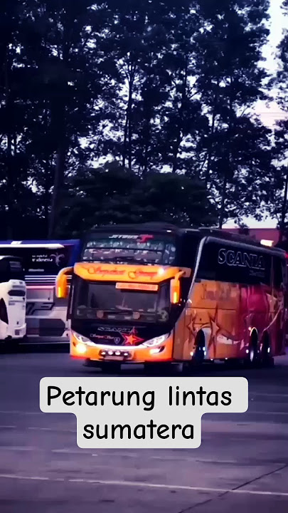 pesona bus sumatera PO Sempatistar😍 #bismania #anakrantau #anakmedan