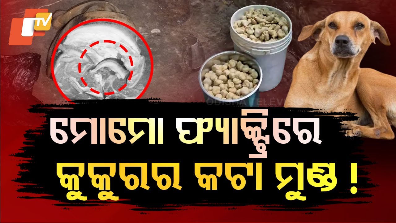 Special Story: Shocking Discovery at Momo Shop: Dog's Head and Spoiled Meat Found in Factory!
