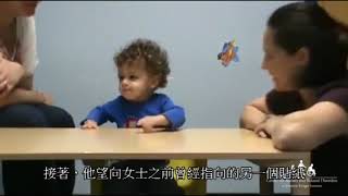 自閉症譜系障礙早期徵狀