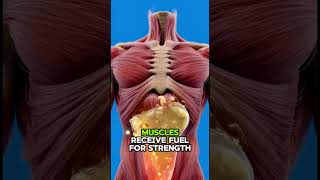 Cashew & Raisin Shake: Inside Your Body | 3D Medical Visualization