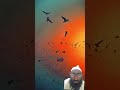 या rasul سلام है ap पर 👍🌹🕋💐#riyazbaig #duet #channel #love #fypviralシ #viralshort #subscribe #riazwr