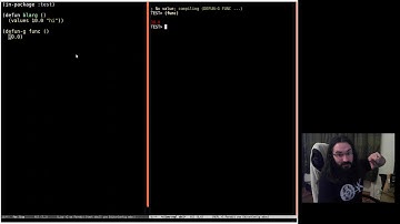 Pushing Pixels with Lisp - Microstream :) - Episode 23.5