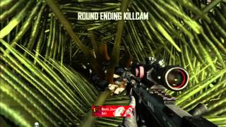 Nexile Zaxyys : Insane tree shot