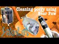 how I scale Porgy (Scup) using Bear Paw electric scaler.