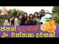 ජපානයේ දොඩම් වත්තක දවසක් - An amazing day in a orange farm in Japan