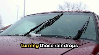 SC.5.E.7.4 #1   Understanding Rain, Snow, Sleet, and Hail