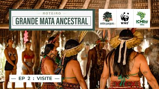 O chamado da Floresta | Como visitar o roteiro da GRANDE MATA ANCESTRAL [Ep. 2]