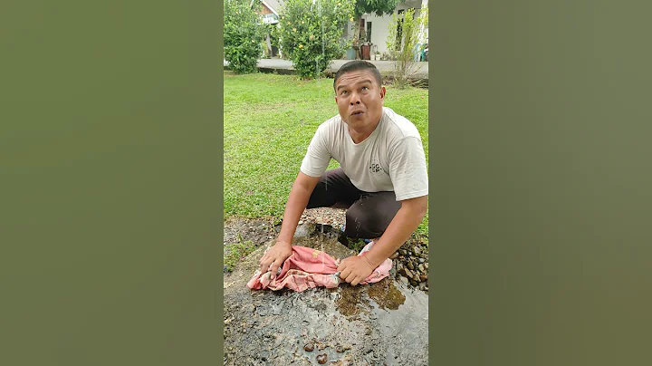 Making a mess #shorts #trending #funny #subscribe