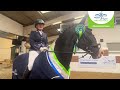 Petplan Prelim Silver Freestyle Summer Area Festival Champion: Andrea Sparkes & Kazan