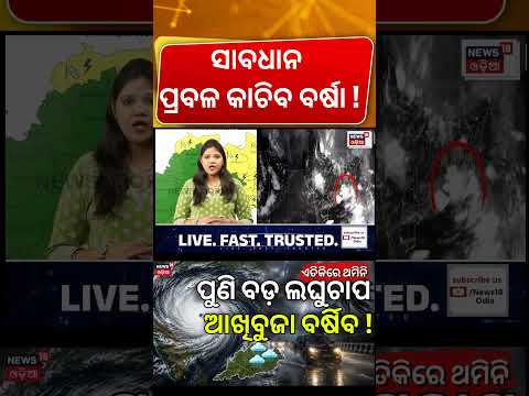 ଏହି ଜିଲ୍ଲାକୁ ଆଲର୍ଟ ଆସୁଛି ବଡ଼ ବର୍ଷା ! Weather Alert | Heavy Rain In Odisha | Rain Alert | Odia News