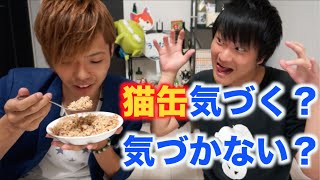 【ドッキリ】美味しく調理したら猫缶ってバレないって本当？