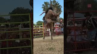 #rodeo #toros #californiacity #torosdepueblo #vasitodesola #ranchoelrincon #Torneo