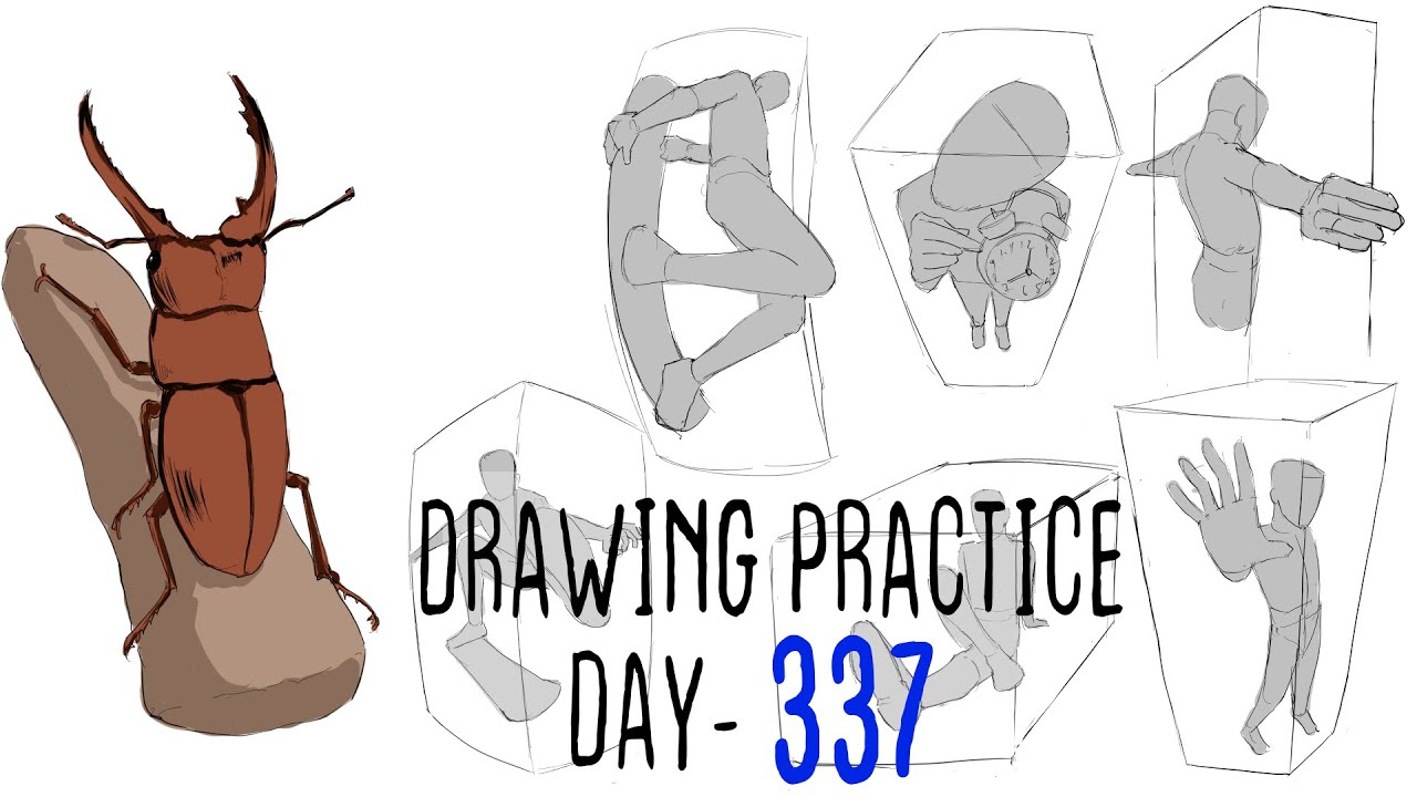 Daily Drawing Practice Part 337 - YouTube