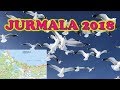 Поездка из РИГИ в Юрмалу. Jūrmala 2018. Балтийское море