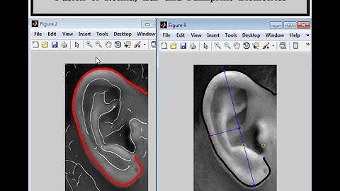 Person Authentication using Score Level Fusion of Ear and Palmprint Biometrics Matlab Project