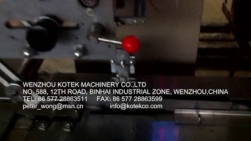 rotary feeder horizontal flow wrap machine