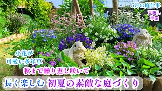 【初夏の爽やかな花壇づくり小花咲く多年草で長く楽しむ】【素敵な庭づくり】【夏越し準備】ガーデニング/5月の庭