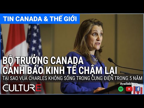 🔴TIN CANADA &