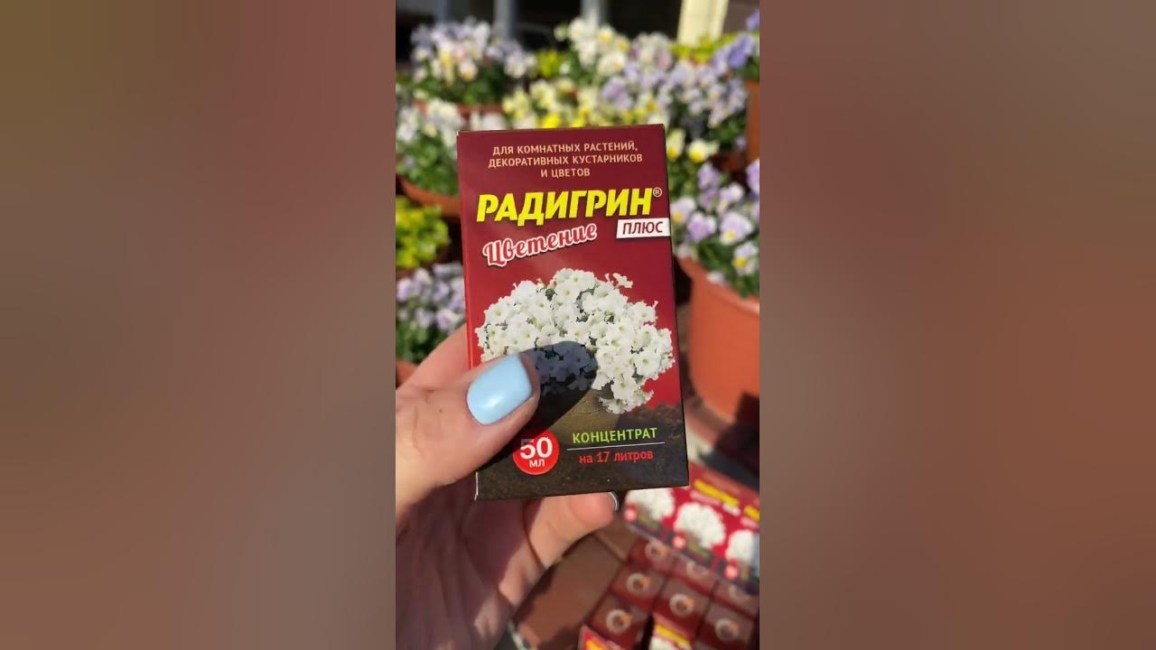 РАДИГРИН ПЛЮС ЦВЕТЕНИЕ - YouTube