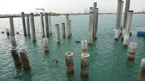 Khai quật tàu cổ ở Dung Quất thu được hầu hết là mảnh vỡ?