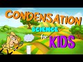 The Science Behind Condensation and Its Role in the Water Cycle
