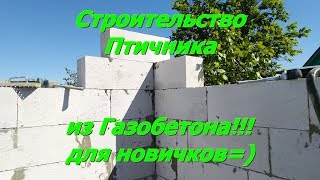 Птичник из газобетона.Технология строительства.