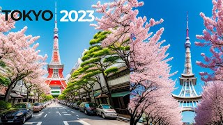 Summer Tour Japan Streets 2023 /  جولة صيفية في شوارع اليابان  2023