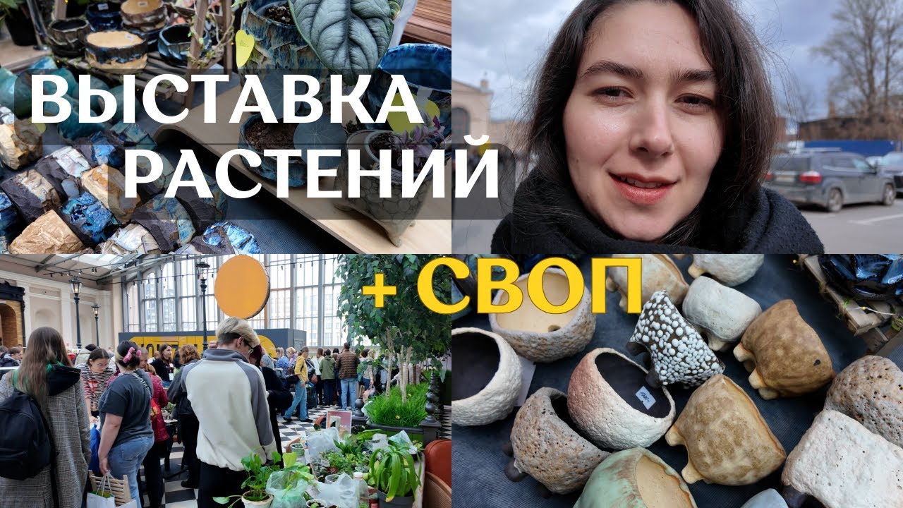 ОБМЕН комнатными РАСТЕНИЯМИ | маркет РАСТЕНИЙ WOW FEST в Санкт-Петербурге | мои ПОКУПКИ