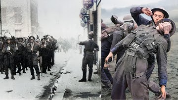 The Executions Of Hitler