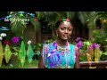 Nguvu Ya Huruma Katika Dunia Isiyo Sikivu Wimbo Wa Uponyaji Wa Roho Nguvu Ya Huruma Katika Dunia Isiyo Sikivu Wimbo Wa Uponyaji Wa Roho