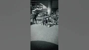 الشارع كله بيلم العيش معاه جدعنة وشهامة مع بائع العيش البلدي 
