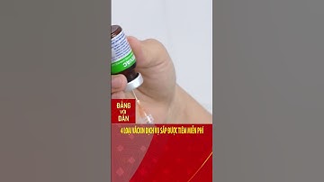 4 loại vắcxin dịch vụ sắp được tiêm miễn phí | Đảng với Dân
