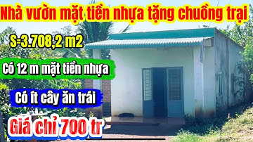 546🌹 Nhà vườn mặt tiền nhựa view suối có ít cây ăn trái tặng chuồng trại 12x69x93 nở hậu 85 giá 700￼