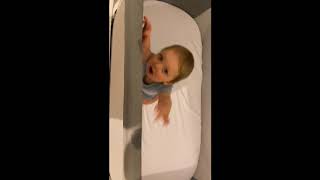 Shnuggle Crib - Cot Conversion Kit