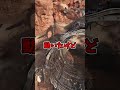 デカい物体で墜落船と合体したら最強だった件w #shorts #かくれんぼ #prophunt #cod