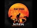 Birth of joy  fat fish