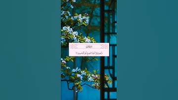 سورة هود وَاصْبِرْ فَإِنَّ اللَّهَ لَا يُضِيعُ أَجْرَ الْمُحْسِنِينَ (115)