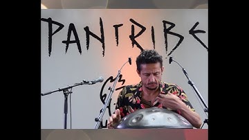 Pantribe - Alexandre Lora  "Traveling Through Eternity"