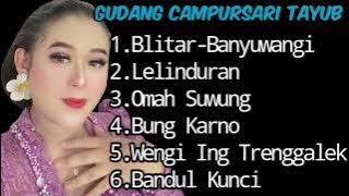 Gudang Campursari Tayub DEYNSA NADA || Blitar-Banyuwangi_Lelinduran_Omah Suwung_Bung Karno_Wengi Ing