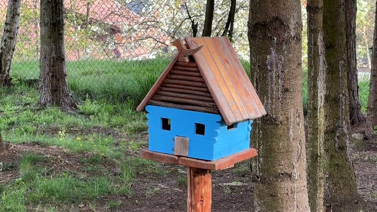 Dedinka Rejdová-30. apríla 2024