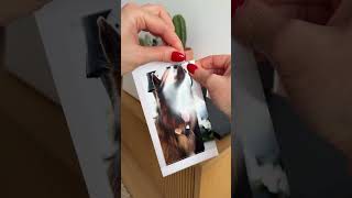طابعة صور محمولة للجوال | Portable Mobile Photo Printer