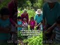 Conexión con la historia agrícola