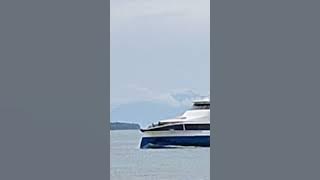 spotted oceanjet 788 tagbilaran port