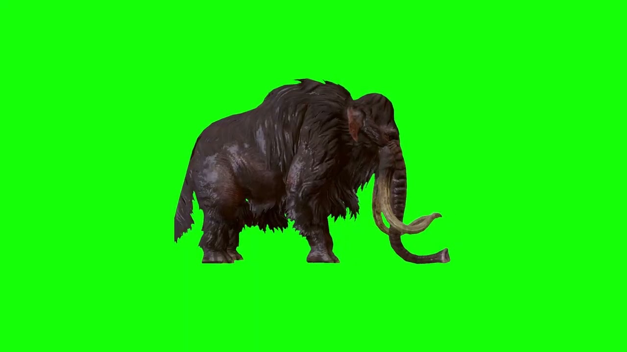 Mammoth Green Screen 