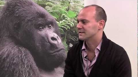 CMS COP10: Nicolas Entrup on the role of NGOs