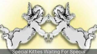 Special Kitties for Special Angels