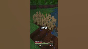 Minecraft Seed Farming Tips
